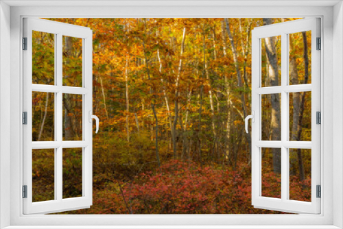 Fototapeta Naklejka Na Ścianę Okno 3D - Maine-Boothbay-Barters Island