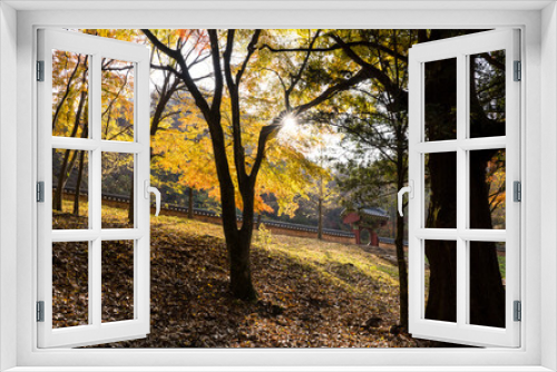 Fototapeta Naklejka Na Ścianę Okno 3D - 장성 백양사로 가는 아름다운 가을 단풍 숲