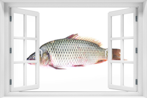 Fototapeta Naklejka Na Ścianę Okno 3D - The fish on a white background