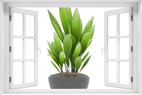 Fototapeta Naklejka Na Ścianę Okno 3D - Plant, Plant PNG, Download Plant Transparent Background