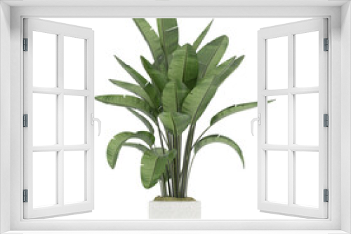 Fototapeta Naklejka Na Ścianę Okno 3D - Plant, Plant PNG, Download Plant Transparent Background