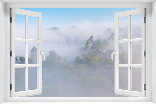 Fototapeta Naklejka Na Ścianę Okno 3D - forest covered by morning fog, high key