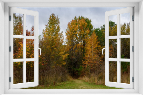 Fototapeta Naklejka Na Ścianę Okno 3D - Fall Foliage - Lake Bob Sandlin SP-6591