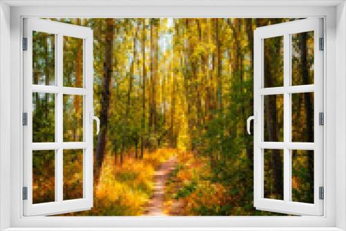 Fototapeta Naklejka Na Ścianę Okno 3D - A fairytale forest path in autumn in Rhineland-Palatinate/Germany on a sunny day