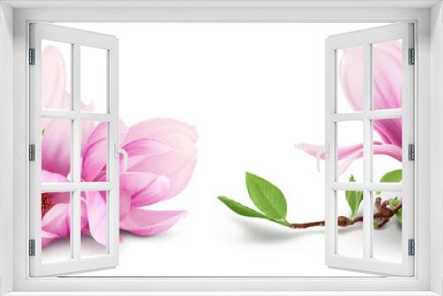 Fototapeta Naklejka Na Ścianę Okno 3D - Pink magnolia flower isolated on white background with full depth of field