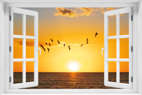 Fototapeta Naklejka Na Ścianę Okno 3D - Siesta Key Sunset with Gulls