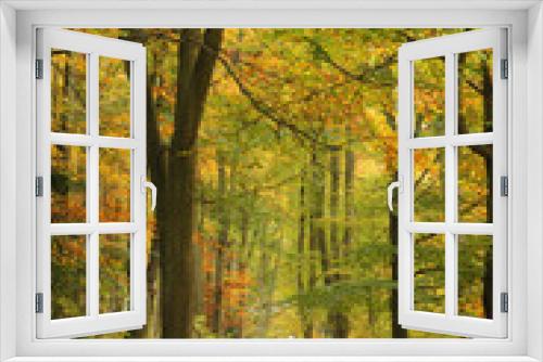 Fototapeta Naklejka Na Ścianę Okno 3D - Beautiful autumn forest alley.