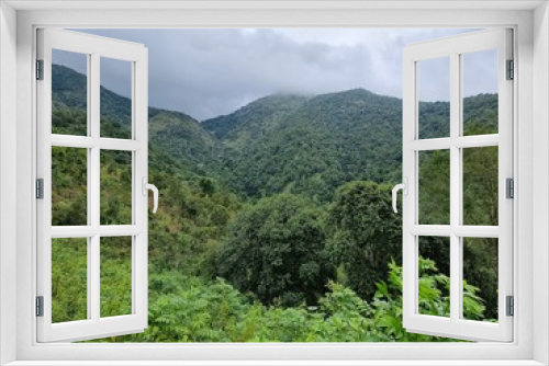 Fototapeta Naklejka Na Ścianę Okno 3D - forest in the mountains