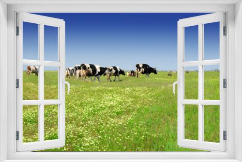 Fototapeta Naklejka Na Ścianę Okno 3D - cows on the field