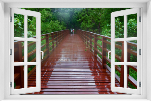 Fototapeta Naklejka Na Ścianę Okno 3D - wooden bridge raining fog green trees