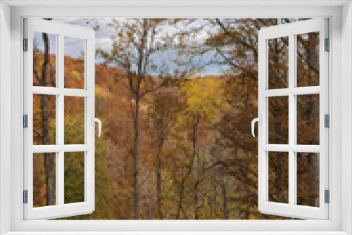Fototapeta Naklejka Na Ścianę Okno 3D - Herbstlich gefärbter Buchenwald