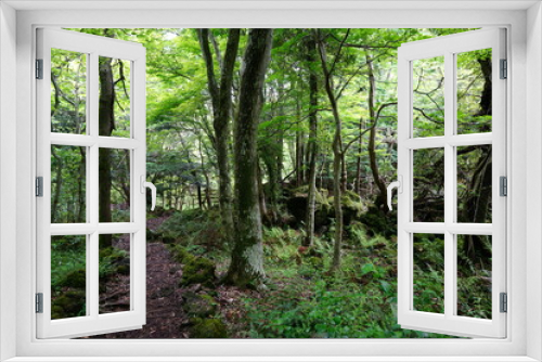 Fototapeta Naklejka Na Ścianę Okno 3D - refreshing spring path through old wild forest