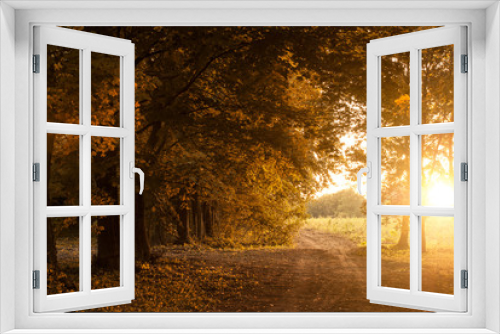 Fototapeta Naklejka Na Ścianę Okno 3D - Autumn Sunset