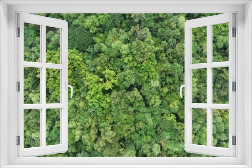 Fototapeta Naklejka Na Ścianę Okno 3D - Aerial top view forest tree, Rainforest ecosystem and healthy environment concept and background, Texture of green tree forest view from above.	