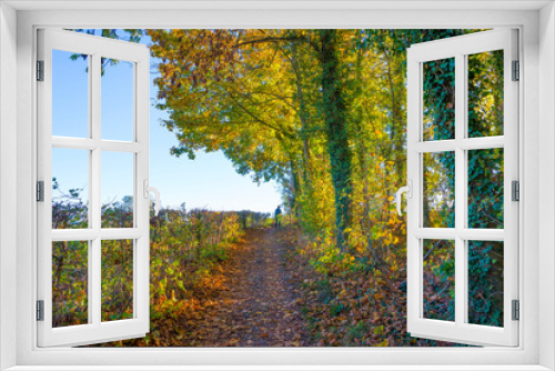 Fototapeta Naklejka Na Ścianę Okno 3D - Fields and trees in a green hilly grassy landscape under a blue sky in sunlight in autumn, Voeren, Limburg, Belgium, November, 2022