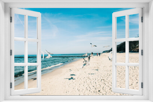 Fototapeta Naklejka Na Ścianę Okno 3D - Rybitwy rzeczne na plaży w nadmorskiej miejscowości Rewal w województwie Zachodniopomorskim. 