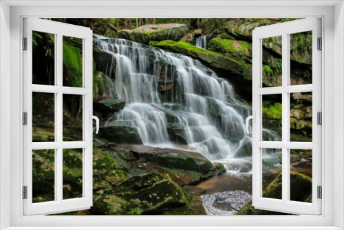 Fototapeta Naklejka Na Ścianę Okno 3D - Water cascades over one of the many falls in Blackwater Falls, West Virginia