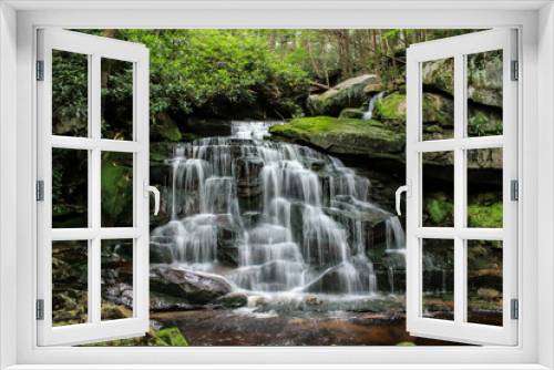 Fototapeta Naklejka Na Ścianę Okno 3D - One of the many waterfalls at Blackwater Falls, in West Virginia. Water Cascades down the falls with a lush green forest in the background