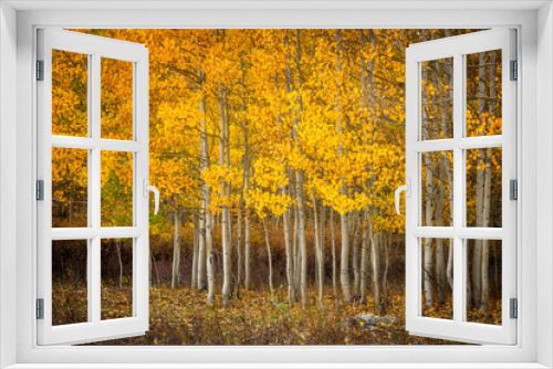 Fototapeta Naklejka Na Ścianę Okno 3D - Initiate Autumn