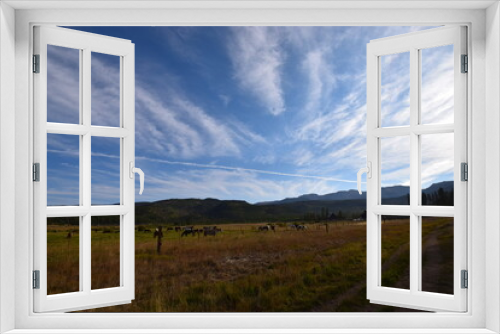 Fototapeta Naklejka Na Ścianę Okno 3D - Mountain landscape with horses in meadow of Colorado Plateau and dramatic cloudscape