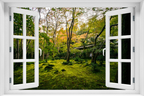 Fototapeta Naklejka Na Ścianę Okno 3D - 京都 鮮やかな緑に包まれた秋の祇王寺