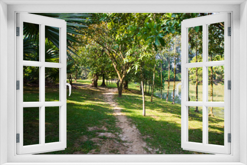 Fototapeta Naklejka Na Ścianę Okno 3D - Green Field with trees in the park landscape view