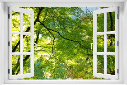Fototapeta Naklejka Na Ścianę Okno 3D - 緑の景色