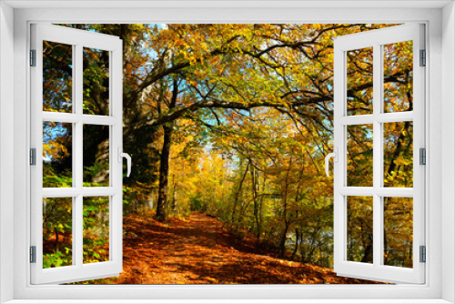 Fototapeta Naklejka Na Ścianę Okno 3D - Herbstlaub im Sonnenschein