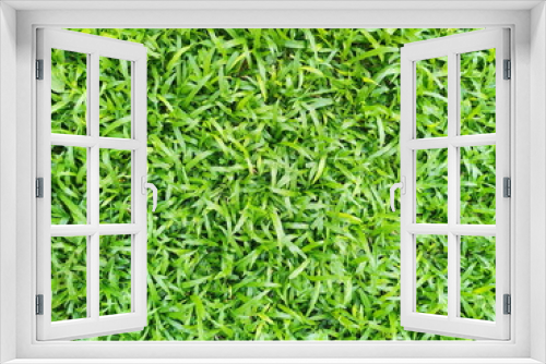 Fototapeta Naklejka Na Ścianę Okno 3D - Green grass background in rainny day, green grass grows along the sidewalk