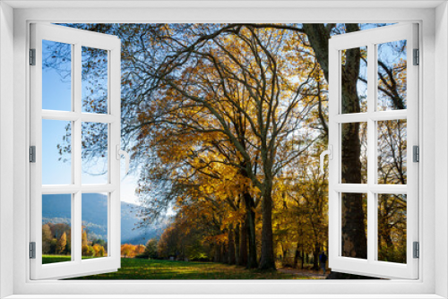 Fototapeta Naklejka Na Ścianę Okno 3D - Vizille, Isère, Rhône-Alpes, France, 20 11 2022 photos of autumn landscapes in the park of the castle of Vizille