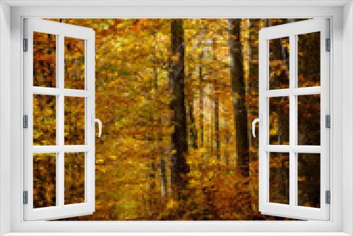 Fototapeta Naklejka Na Ścianę Okno 3D - Chemin dans une forêt aux couleurs d'automne