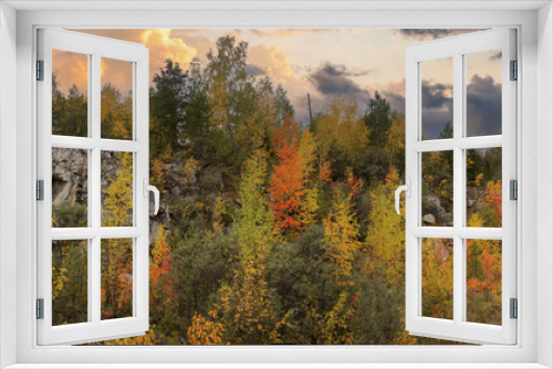 Fototapeta Naklejka Na Ścianę Okno 3D - Crowns of trees with multi-colored autumn leaves against the cloudy sunset sky view from below.