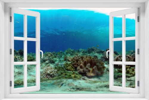 Fototapeta Naklejka Na Ścianę Okno 3D - Colourful tropical coral reef. Scene reef. Seascape under water. Philippines. Virtual Reality 360.