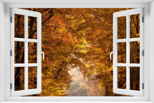 Fototapeta Naklejka Na Ścianę Okno 3D - Jesienna aleja