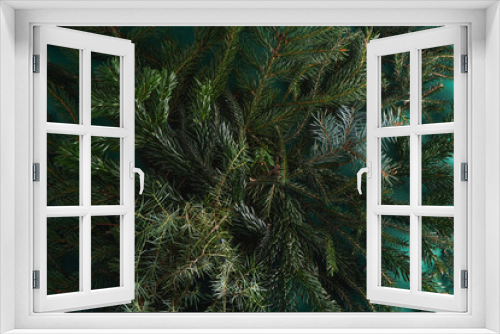 Fototapeta Naklejka Na Ścianę Okno 3D - Christmas tree nature green background. Pine branches, needles top view. December mood concept. Spruce branch with needle of different varieties.