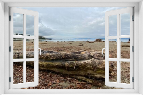 Fototapeta Naklejka Na Ścianę Okno 3D - summer sea beach grass trees ocean shore 
