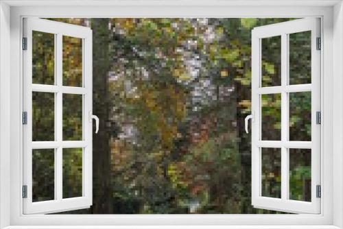 Fototapeta Naklejka Na Ścianę Okno 3D - Chemin en terre mouillé, plus ou moins couvert par un tapis de feuilles mortes de toutes les couleurs, début saison automne, ciel gris et nuageux, balade naturelle tranquille