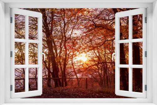 Fototapeta Naklejka Na Ścianę Okno 3D - geländer im wald, herbst, dramtischer himmel