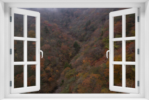Fototapeta Naklejka Na Ścianę Okno 3D - 紅葉した山