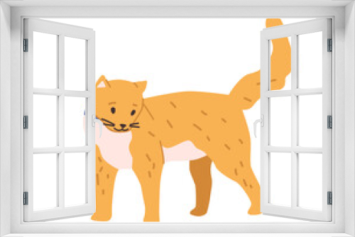Fototapeta Naklejka Na Ścianę Okno 3D - Kitty habits and life, isolated ginger cat strolling and walking. Domestic pet active lifestyle, feline animal, mammal with furry coat. Vector in flat style