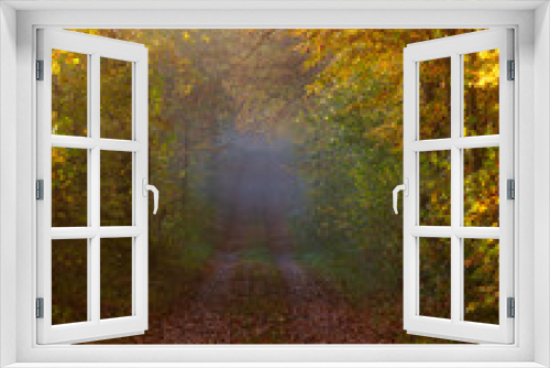 Fototapeta Naklejka Na Ścianę Okno 3D - Aleja we wszystkich kolorach jesieni
