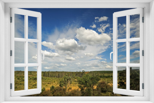 Fototapeta Naklejka Na Ścianę Okno 3D - typical rural scenery in Australia, with beautiful clouds in blu