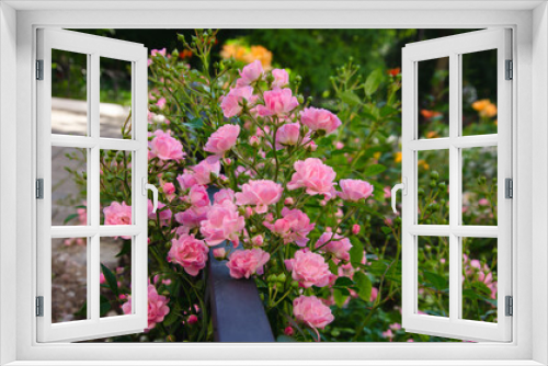 Fototapeta Naklejka Na Ścianę Okno 3D - small pink roses grow on the lawn, garden decoration
