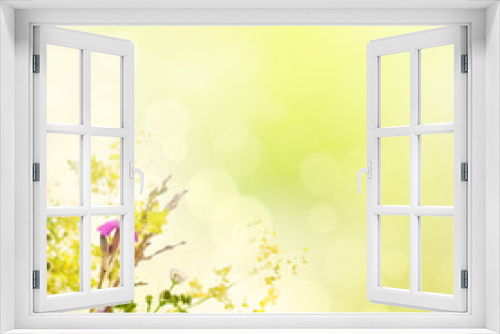 Fototapeta Naklejka Na Ścianę Okno 3D - Summer flowers