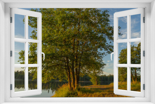 Fototapeta Naklejka Na Ścianę Okno 3D - Landscape. A large tree on the background of the lake. The beauty of nature. Natural background.