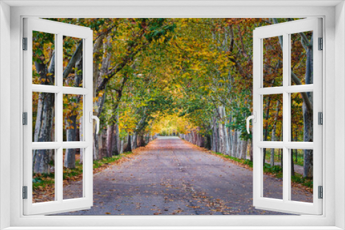 Fototapeta Naklejka Na Ścianę Okno 3D - Autumn landscape with lonely road lined with trees in the Casa de Campo in Madrid (Spain).