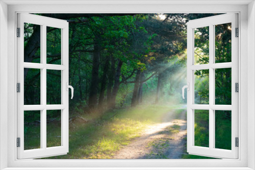 Fototapeta Naklejka Na Ścianę Okno 3D - Sonnenstralen im Wald