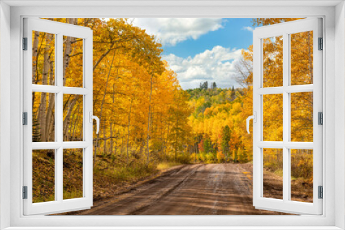 Fototapeta Naklejka Na Ścianę Okno 3D - Autumn colors in the Colorado Rocky Mountains - near Crested Butte on scenic Gunnison County Road 12 through the Kebler Pass