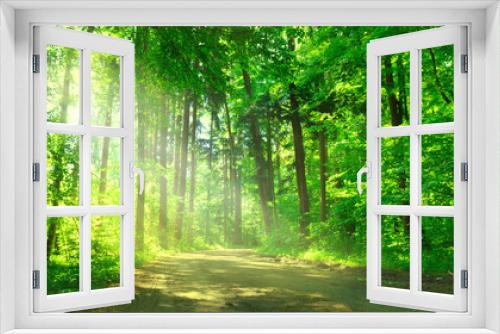 Fototapeta Naklejka Na Ścianę Okno 3D - Waldweg mit Sonnenschein