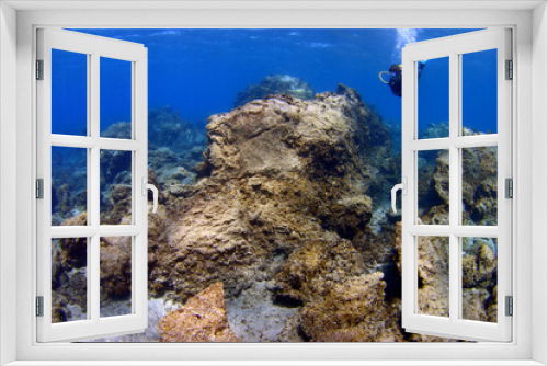 Fototapeta Naklejka Na Ścianę Okno 3D - Buceadora en el mar